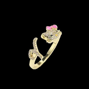 Hk initial Ring